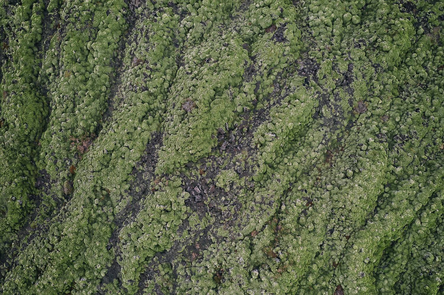 <br />
<b>Notice</b>: Undefined index: photo in <b>/home/clementviala/www/templates_c/5b21a1cfd5c6511b8b932fb5db36a141ffa17ea4.file.mentionslegales.tpl.cache.php</b> on line <b>31</b><br />
<br />
<b>Notice</b>: Trying to get property 'value' of non-object in <b>/home/clementviala/www/templates_c/5b21a1cfd5c6511b8b932fb5db36a141ffa17ea4.file.mentionslegales.tpl.cache.php</b> on line <b>31</b><br />
<br />
<b>Notice</b>: Trying to get property 'fichier_alt' of non-object in <b>/home/clementviala/www/templates_c/5b21a1cfd5c6511b8b932fb5db36a141ffa17ea4.file.mentionslegales.tpl.cache.php</b> on line <b>31</b><br />